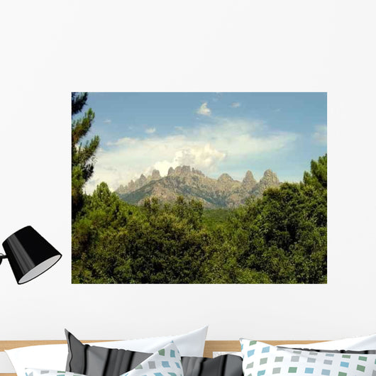 From Auguilles Bavella South Wall Decal Design 2