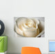 Close-Up Of White Rose Wall Mural