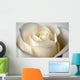 Close-Up Of White Rose Wall Mural
