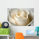 Close-Up Of White Rose Wall Mural
