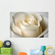 Close-Up Of White Rose Wall Mural