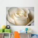 Close-Up Of White Rose Wall Mural