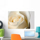 Close-Up Of White Rose Against White Background Wall Mural