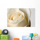 Close-Up Of White Rose Against White Background Wall Mural