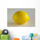 Lemon Wall Mural