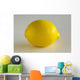 Lemon Wall Mural