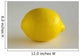 Lemon Wall Mural