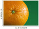 Orange Fruit On Green Background Wall Mural