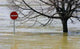 Flood Wall Decal Design 2