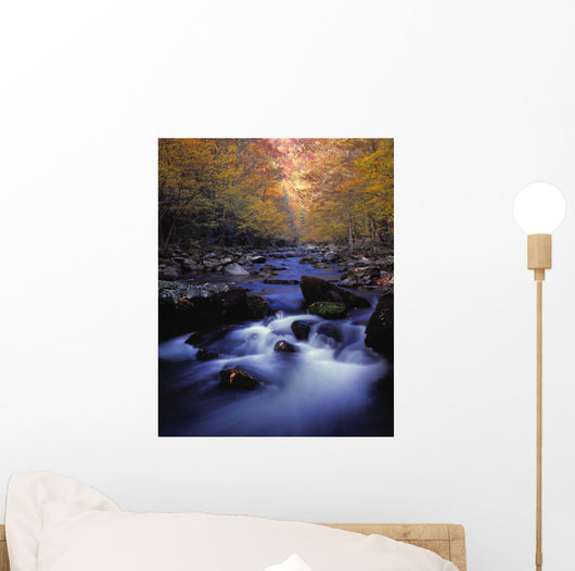 Little River Cascades And Autumn Colors Wall Mural