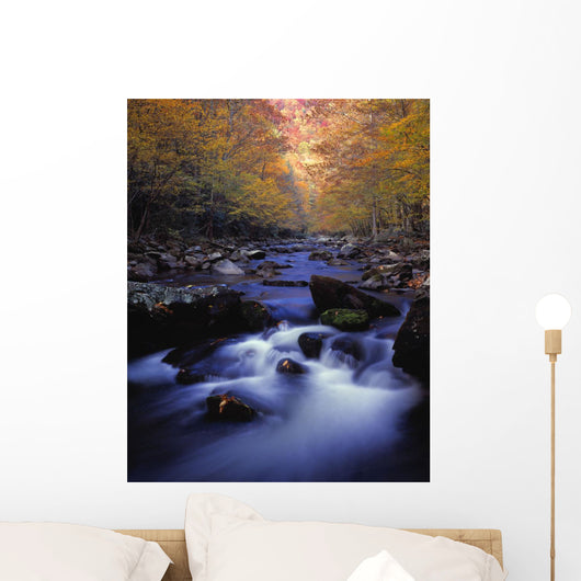 Little River Cascades And Autumn Colors Wall Mural