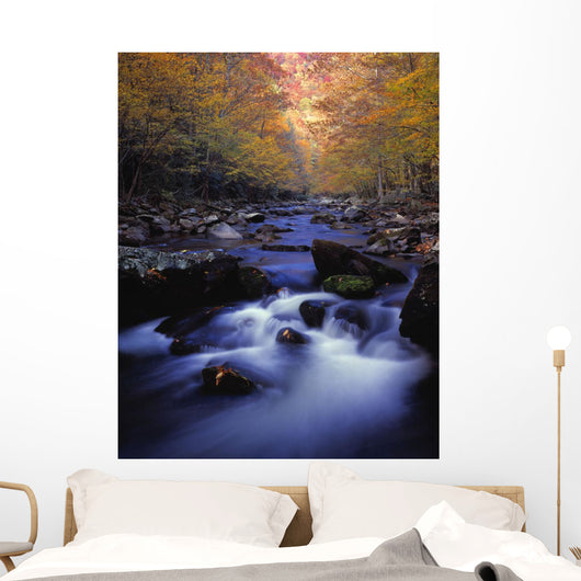 Little River Cascades And Autumn Colors Wall Mural
