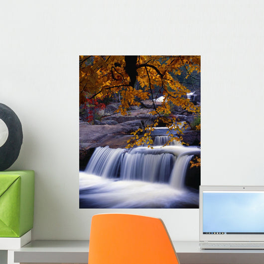 Nesowadnehunk Stream, Rapids, Autumn Colors, Baxter State Park Wall Mural