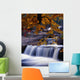 Nesowadnehunk Stream, Rapids, Autumn Colors, Baxter State Park Wall Mural