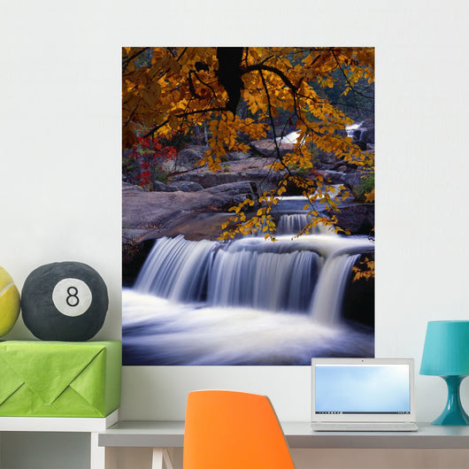 Nesowadnehunk Stream, Rapids, Autumn Colors, Baxter State Park Wall Mural
