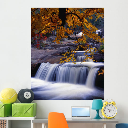 Nesowadnehunk Stream, Rapids, Autumn Colors, Baxter State Park Wall Mural