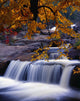 Nesowadnehunk Stream, Rapids, Autumn Colors, Baxter State Park Wall Mural