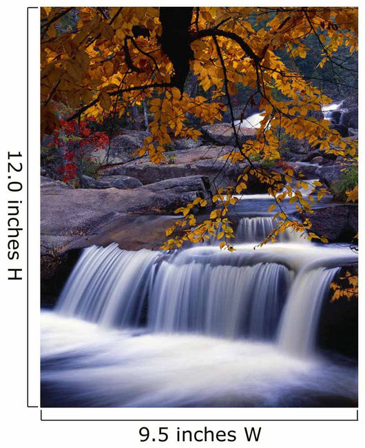 Nesowadnehunk Stream, Rapids, Autumn Colors, Baxter State Park Wall Mural