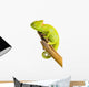 Veiled Chameleon Wall Decal