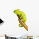 Veiled Chameleon Wall Decal