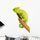 Veiled Chameleon Wall Decal