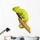 Veiled Chameleon Wall Decal