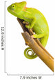 Veiled Chameleon Wall Decal