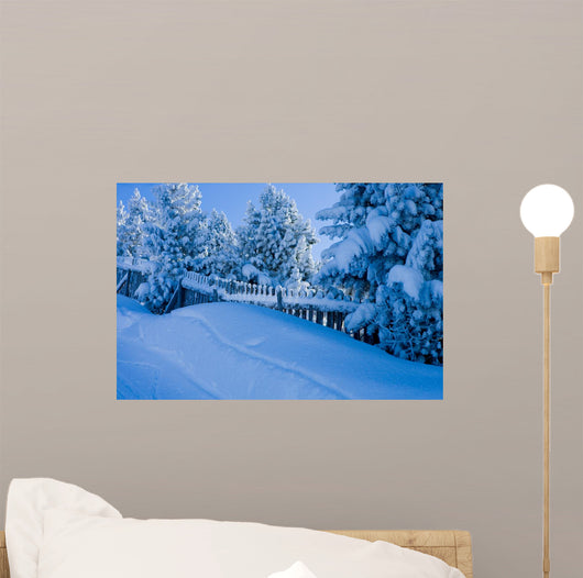 Winterly Landscape