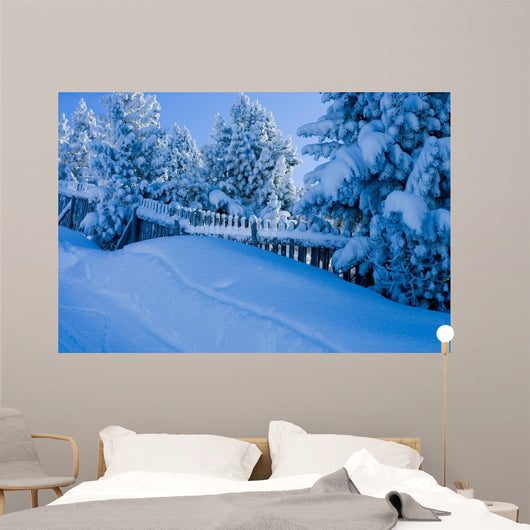 Winterly Landscape