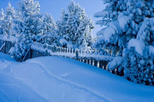 Winterly Landscape