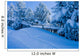 Winterly Landscape