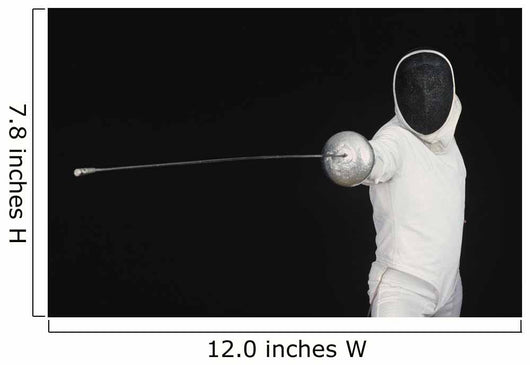 Fencer Wall Mural