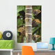 Butterflies Wall Mural