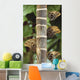 Butterflies Wall Mural