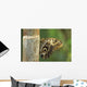 Butterfly Wall Mural