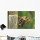 Butterfly Wall Mural