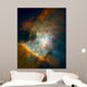 Background Wall Mural