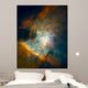 Background Wall Mural