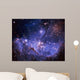 Stars And The Milky Way Wall Mural