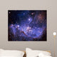Stars And The Milky Way Wall Mural