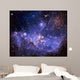 Stars And The Milky Way Wall Mural