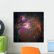 Nebula Orion Wall Mural
