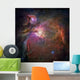 Nebula Orion Wall Mural