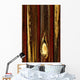 Tree Bark Wall Mural
