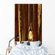 Tree Bark Wall Mural
