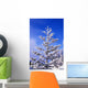 Snow And Frost On Evergreen Wall Mural