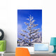 Snow And Frost On Evergreen Wall Mural