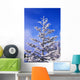 Snow And Frost On Evergreen Wall Mural