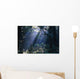 Sun Beams Through Fog And Forest Trees Wall Mural