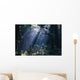 Sun Beams Through Fog And Forest Trees Wall Mural